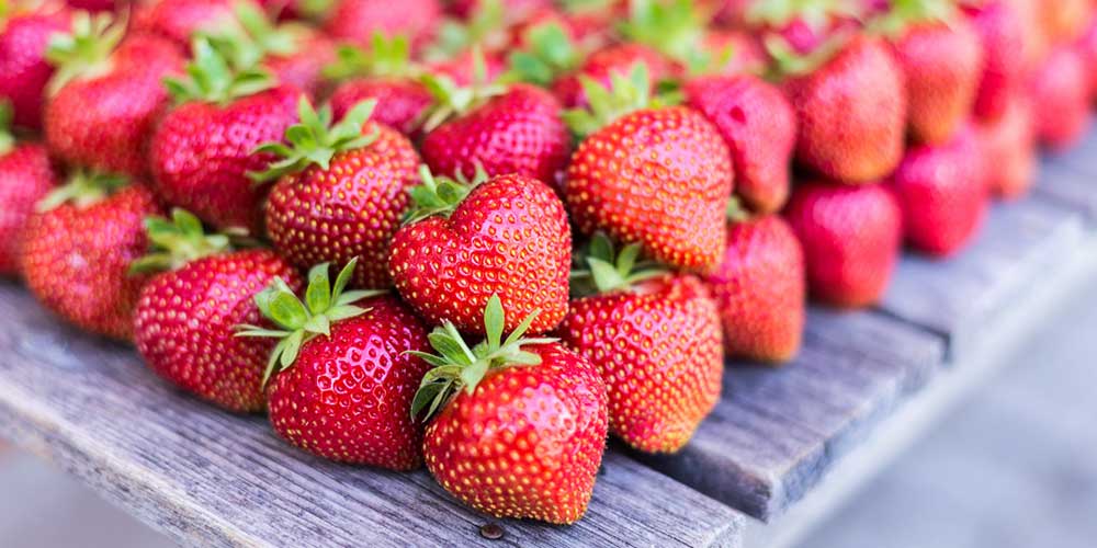 Ungespritzte Freiland-Erdbeeren vom Waltl-Hof
